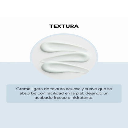 Madagascar Centella Hyalu-Cica Moisture Cream